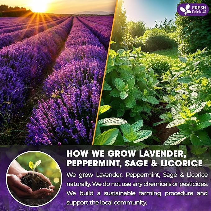 FreshDrinkUS, Premium 35 Tea Bags Lavender Mint Tea, 100% Natural, Blend of Lavender, Peppermint