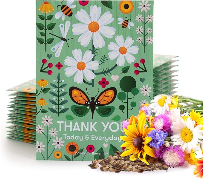 Bentley Seed Co. Thank You Packet - Pollinator Flower Mix - 25 Seed Packets - Perfect Eco-Friendly