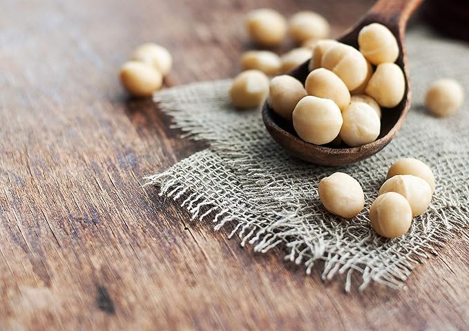 Food to Live Organic Whole Macadamia Nuts, 2 Pounds – Non-GMO, Raw, Shelled, Unsalted, Kosher