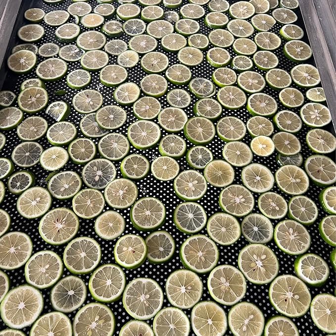 Dehydrated Dried Lime Slices Wheels | 50 + Servings Approx. | 100% Natural No Added Sugars |