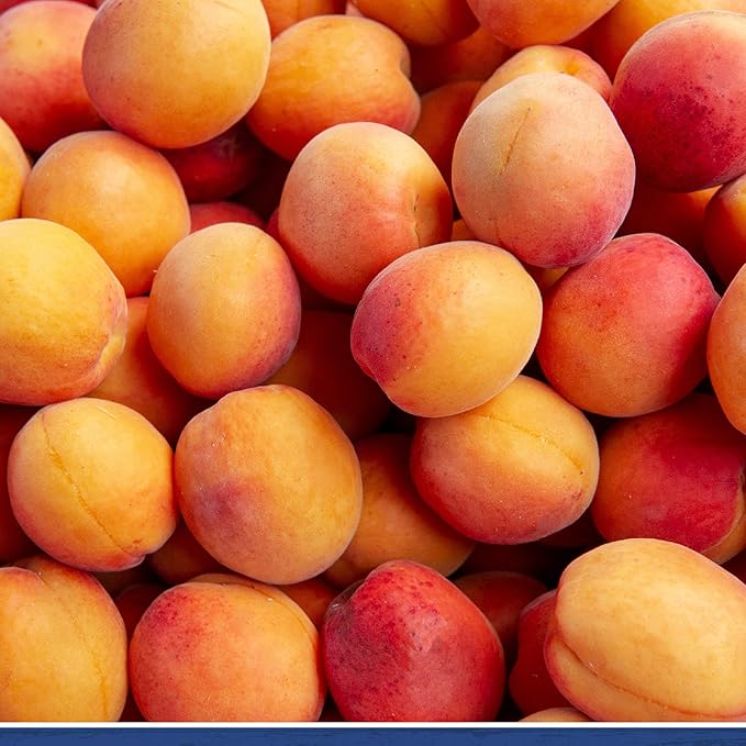 Traina Home Grown California Sun Dried Jumbo Ruby Royal Apricot Halves - SEASONAL/LIMITED