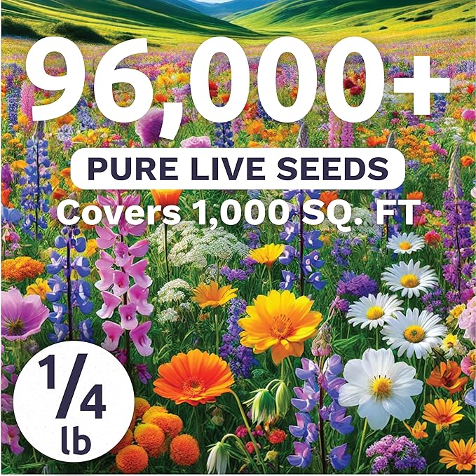 Pacific Northwest Regional Mix - Bulk 1/4 Pound Pouch - 96,000 Flower Seeds for Planting