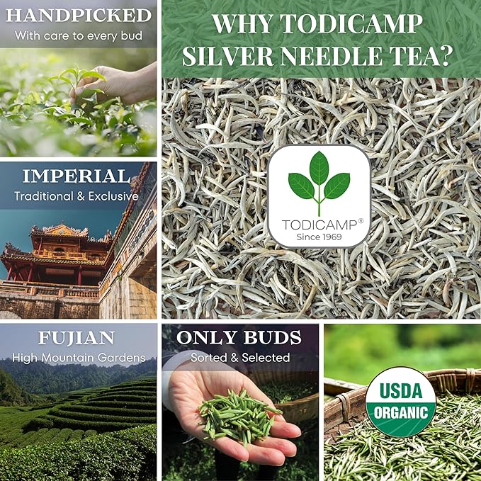 TODICAMP USDA Organic Silver Needle Tea - 3 Oz of Loose Leaf Silver Needle White Tea - Loose Leaf