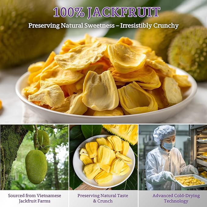 Vinamit Dried Jackfruit Chips | Vacuum Fried Dried Jackfruit | Pack 2 of 7.4 oz Bag | Naturally