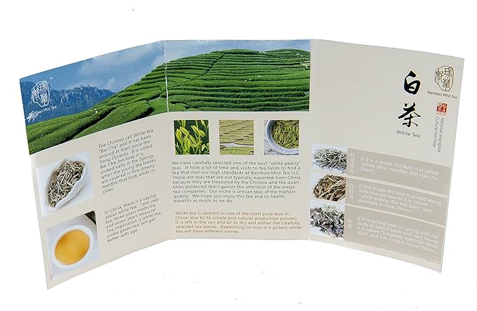 Rare, Aged 2012 White Tea -Bai Mu Dan style from Fujian, China