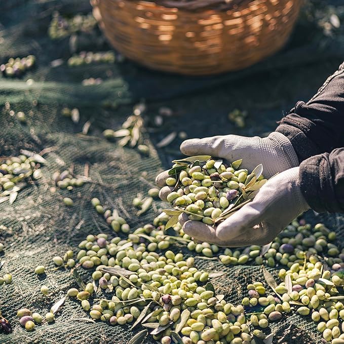 Yialós Extra Virgin Olive Oil from Greece ??2025 NYIOOC Winner | Small Batch, Single Estate, 100%