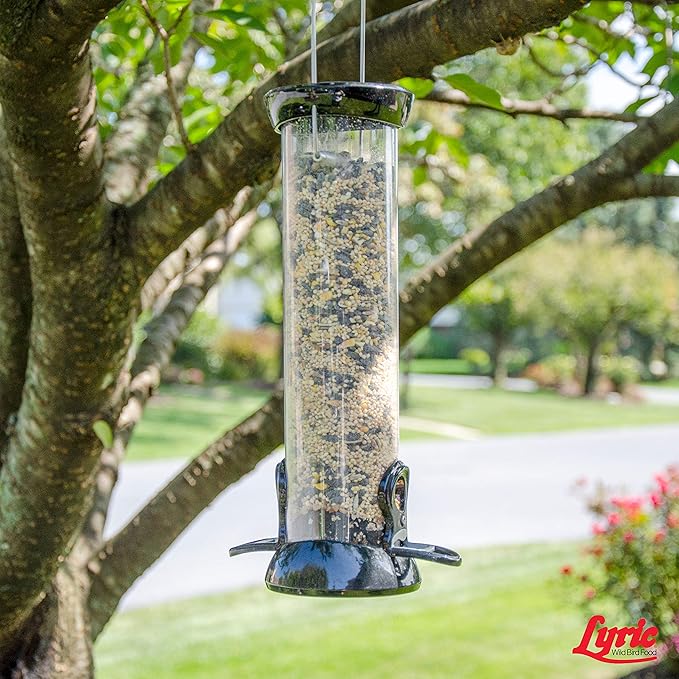 Lyric Wild Bird Mix - Wild Bird Food for Outside Feeders - Attracts Doves, Jays and many more - 40