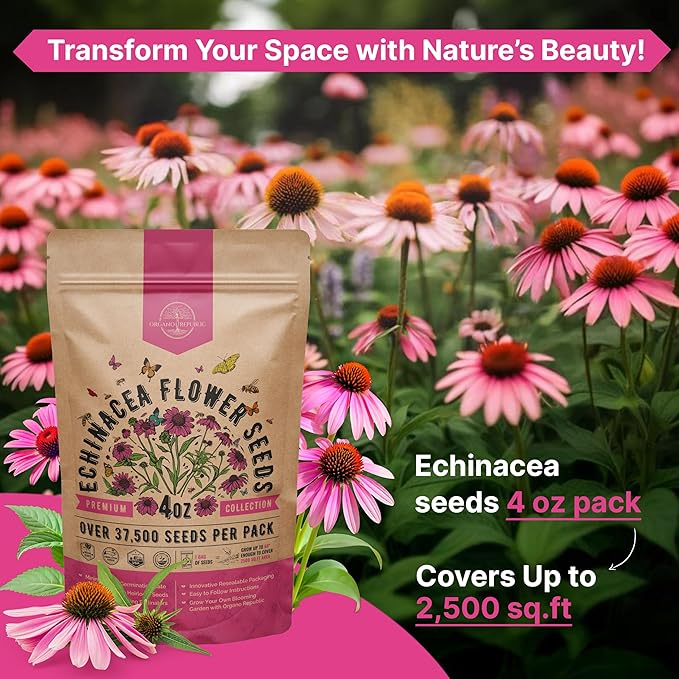 Organo Republic Echinacea Seeds Pack 4 oz - Over 37,500 Non-GMO Heirloom Echinacea Seeds for