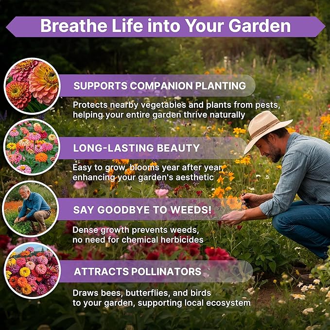 Zinnia Seeds Pack 1 oz - Over 3,800 Non-GMO Heirloom Zinnia Seeds for Planting, Annual Flowers in