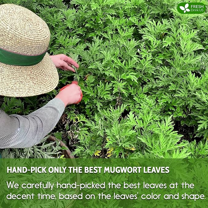 FreshDrinkUS, Premium 45 Mugwort Leaf Tea Bags, 100% Natural and Pure Mugwort Leaves. Loose Leaf