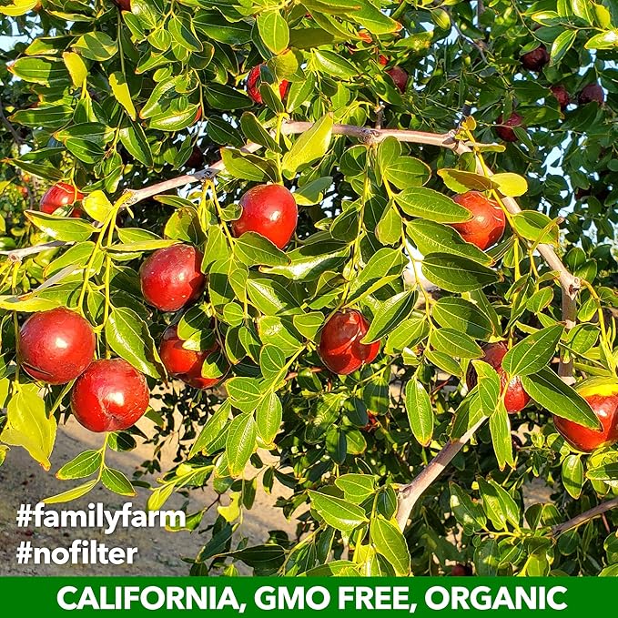 USDA Organic California Grown Pure Jujube Product | JUJUME Crisps | Sweet Jujube Chips | ZERO Added