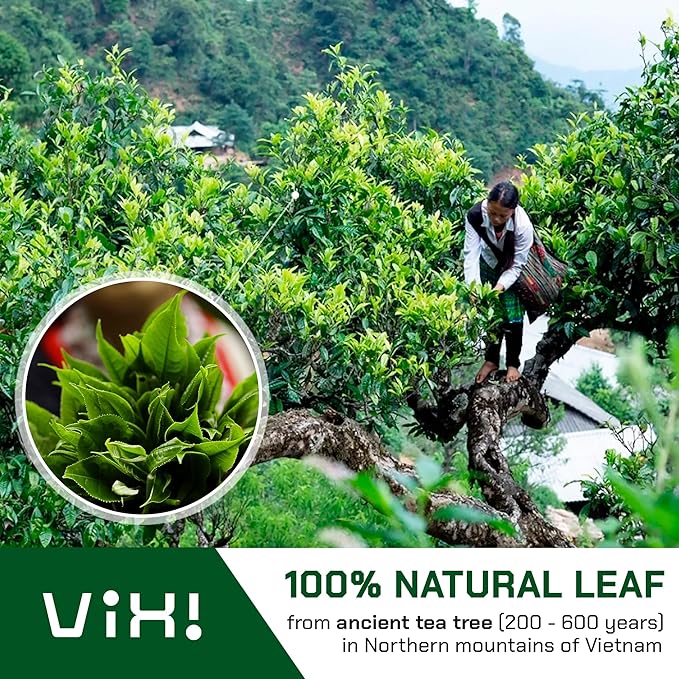 VIXI White Tea Bags, 80 Counts, Vietnam's Mountain Tea, Peony, Te Blanco, Flavored, Good Earth