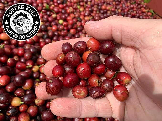 Koffee Kult Colombian Medium Roast Coffee Beans 100% Single Origin Colombia Arabica Whole Bean