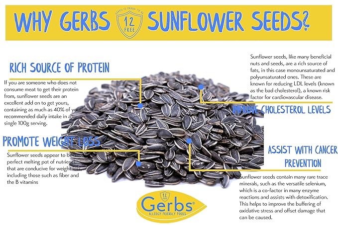 Gerbs Jumbo Lightly Sea Salted Whole Sunflower Seeds 14 oz. | Small Batch, No Additives, Resealable