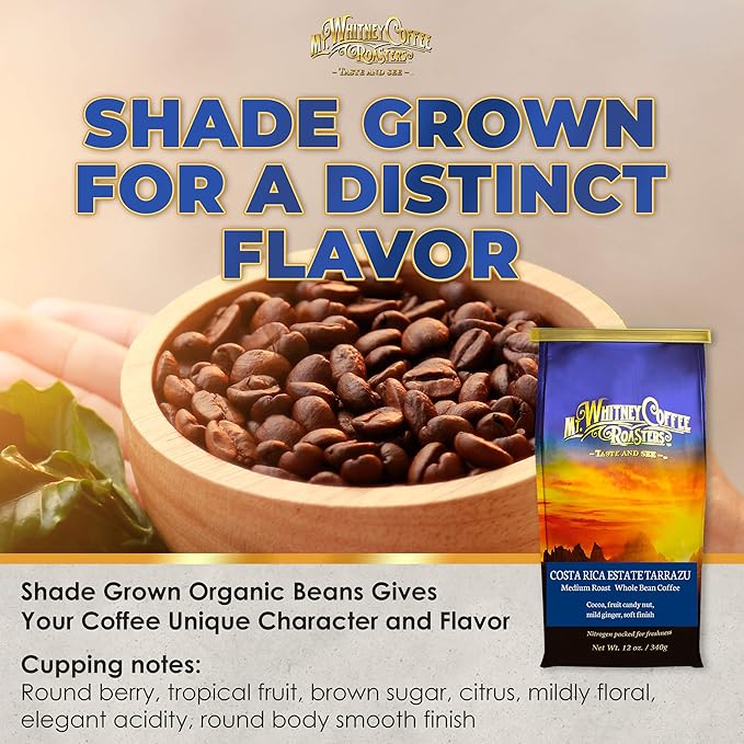 Mt. Whitney Costa Rica Estate Tarrazu Low Acid Coffee (Whole Bean, 12 Oz)