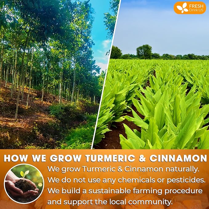 FreshDrinkUS, Premium 75 Turmeric Cinnamon Tea Bags, 100% Natural, Blend of Turmeric, and Cinnamon.
