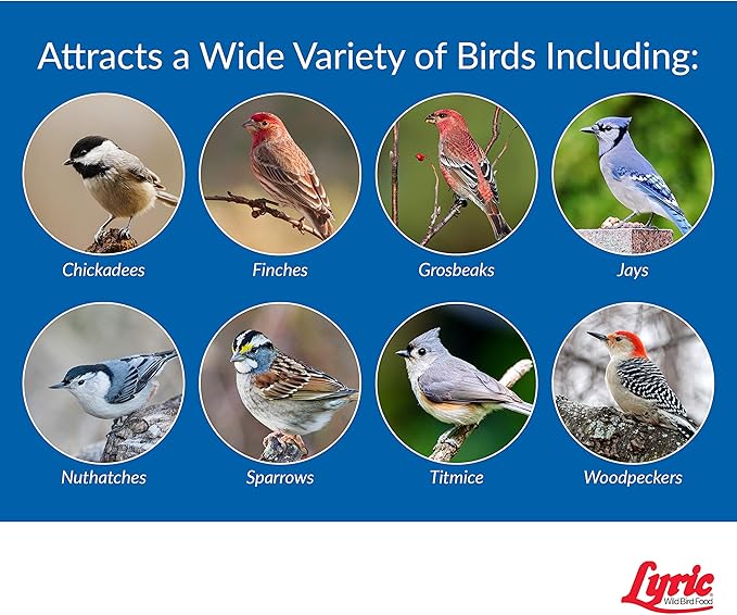 Lyric Wild Bird Mix - Wild Bird Food for Outside Feeders - Attracts Doves, Jays and many more - 40