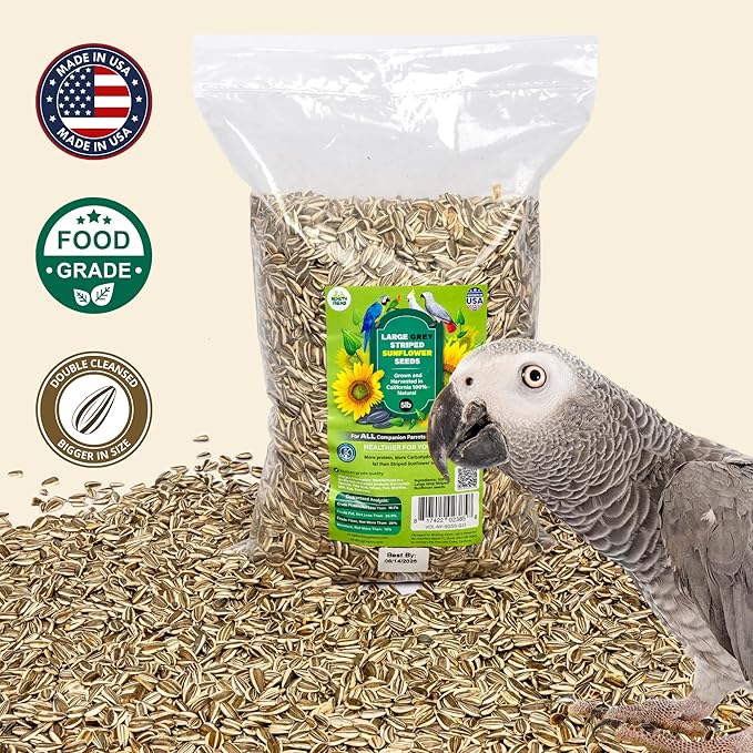 5 Lb Bag | Premium Striped Sunflower Seeds for Birds - Natural Sunflower Seeds Bird Food | Non-GMO