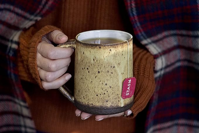 Stash Tea Holiday Chai Tea 18 Count Tea Bags (Pack of 6), Individual Spiced Black Tea Bags for Use