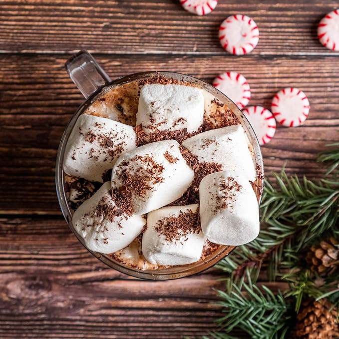 Bare Life: Instant Dairy Free Peppermint Hot Cocoa Mix - 10 Serving Pouch | Gluten Free, Vegan