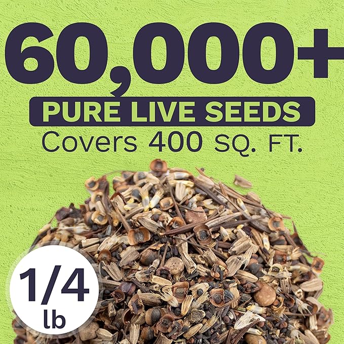 Texas Oklahoma Wildflower Seeds Mixture - Bulk 1/4 Pound Bag - Over 60,000 Native Seeds - Open