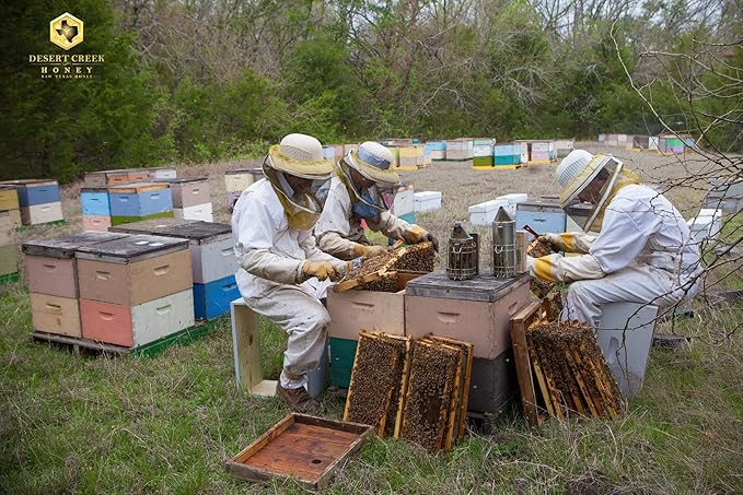 Pack of Two 12 oz. Honey Bears Raw, Unfiltered, Unpasteurized Texas Honey by Desert Creek Honey
