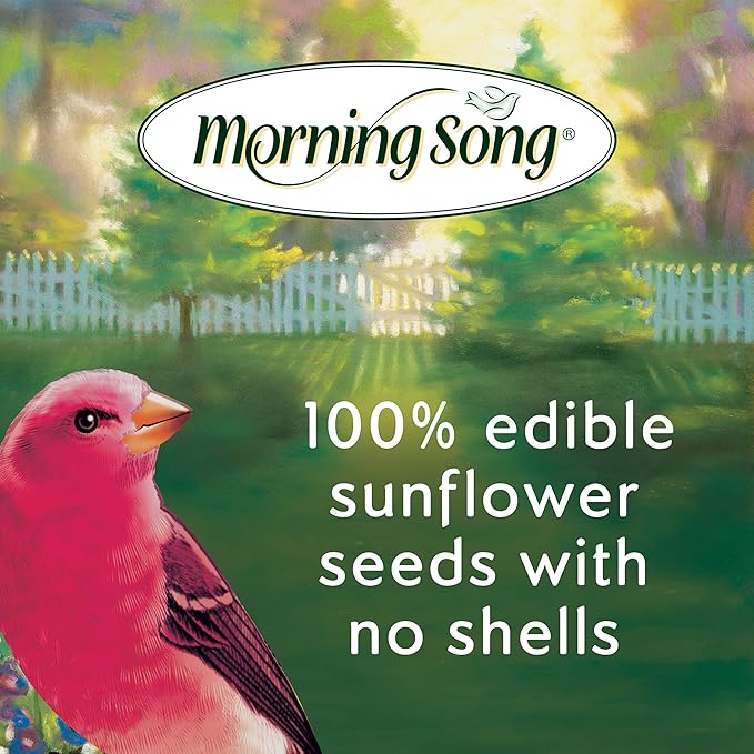 Morning Song Sunflower Hearts & Chips Wild Bird Food, No Mess Sunflower Seeds for Birds, 5.5-Pound