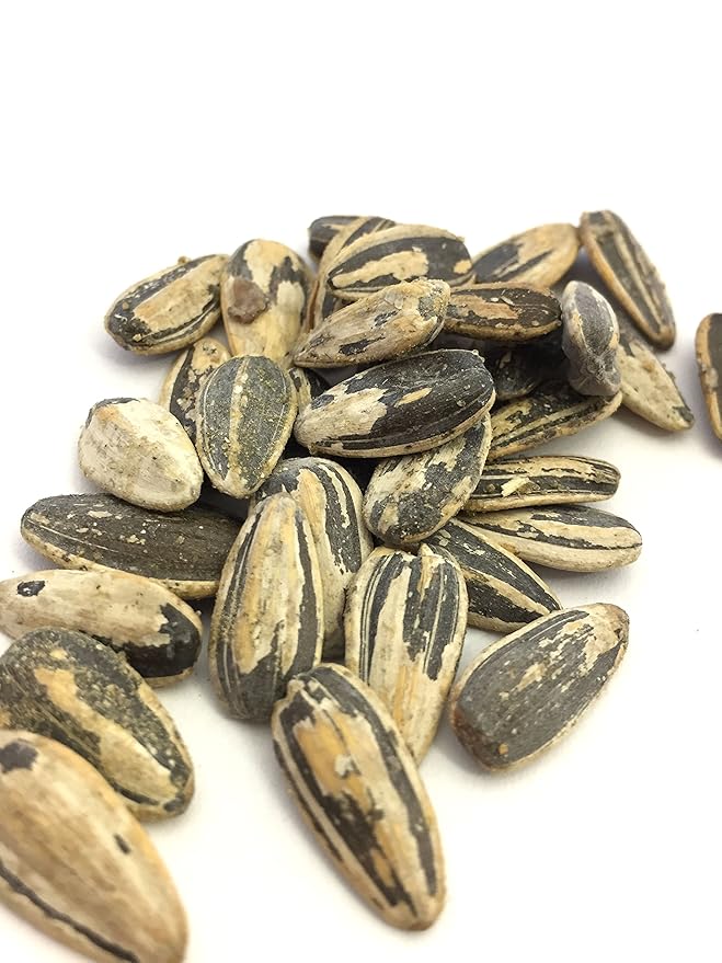 Bricktown Goods Dill Pickle Flavored Sunflower Seeds - 3 Pack - Boldly Seasoned and Roasted