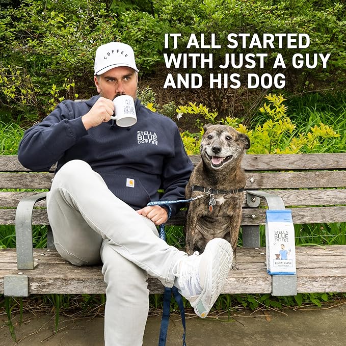 Stella Blue Whole Bean Coffee, Big Cat Blend, Medium Roast, Caramel, Hazelnut and Fruity Notes