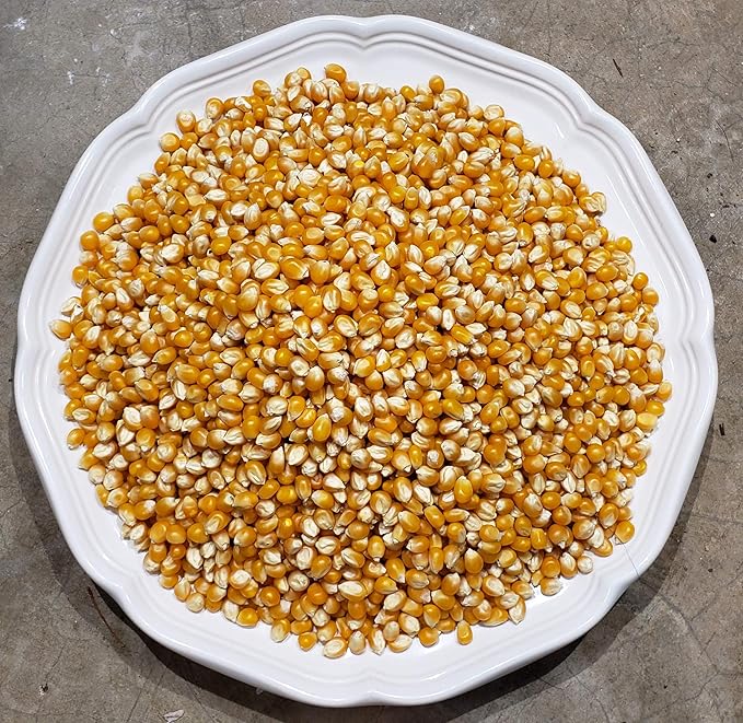 Princeton Popcorn Mushroom Popcorn Kernels - Farmer Direct, Non-GMO, Gluten Free, Un-Popped, Ball