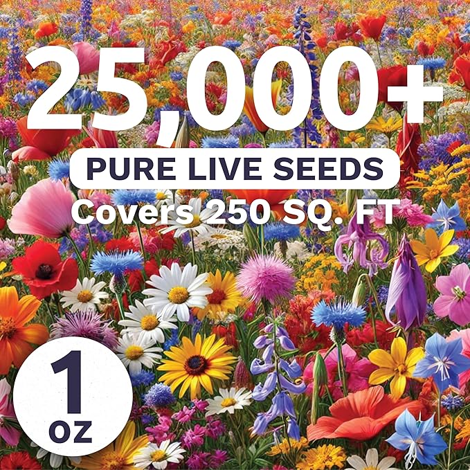Rocky Mountain Regional Mix - Large 1 Ounce Packet - 25,000 Flower Seeds for Planting - Wildflower