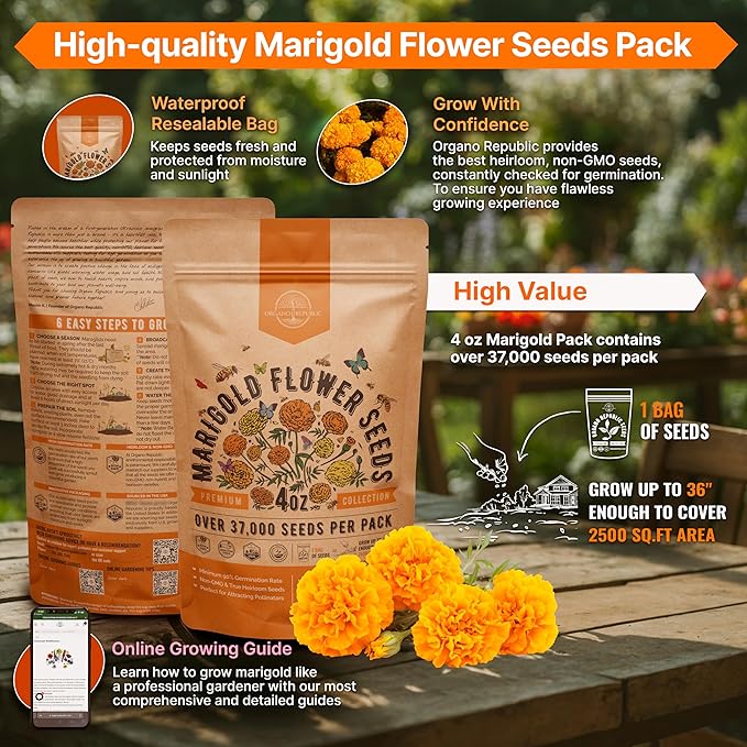 Marigold Seeds Pack 4 oz - Over 37,000 Non-GMO Heirloom Marigold Seeds for Planting Indoor &