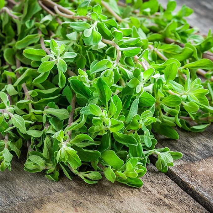 GranAroma 4.8 oz Ground Marjoram, French & Italian Cuisine, Savory Seasoning