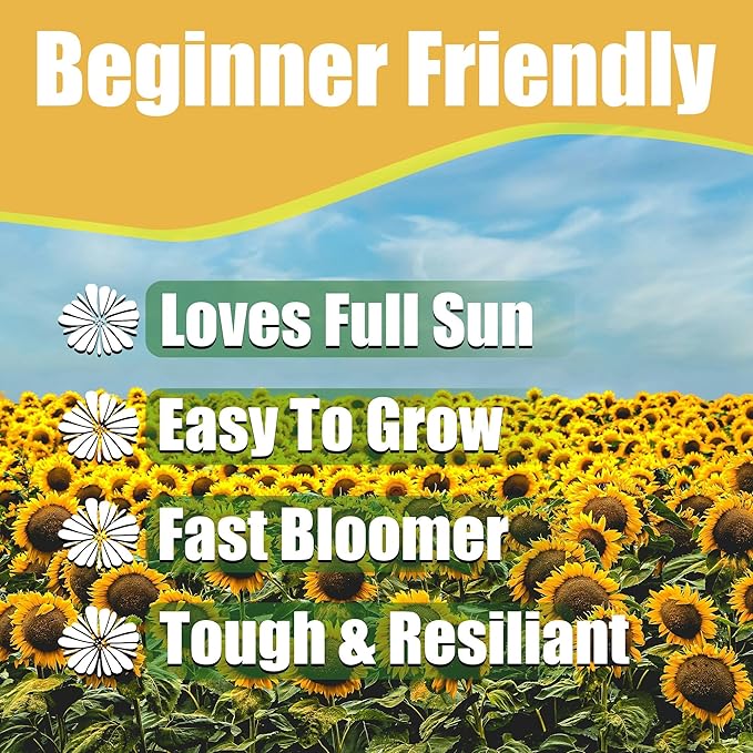 Park Seed Monet's Palette Mix Sunflower Seeds – Designer Blend of Pollen-Free, Multi-Bloom