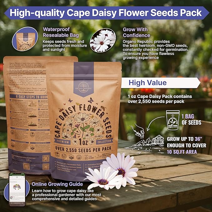 Cape Daisy Flower Seeds Pack 1 oz - Over 2,550 Non-GMO Heirloom Cape Daisy Seeds for Planting