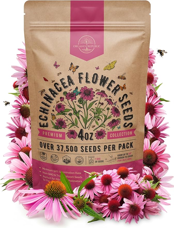 Organo Republic Echinacea Seeds Pack 4 oz - Over 37,500 Non-GMO Heirloom Echinacea Seeds for