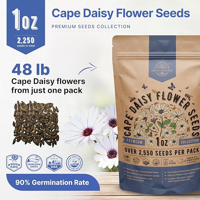 Cape Daisy Flower Seeds Pack 1 oz - Over 2,550 Non-GMO Heirloom Cape Daisy Seeds for Planting