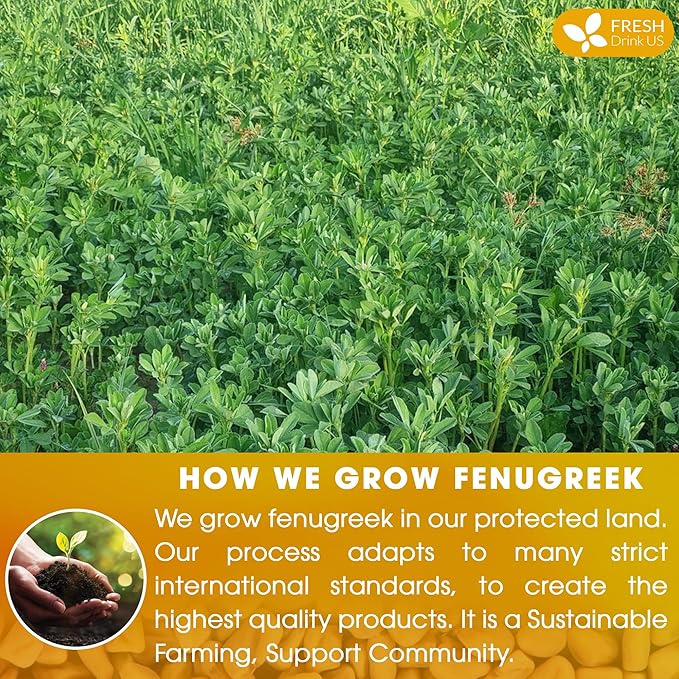 FreshDrinkUS, Premium 55 Fenugreek Tea Bags, 100% Natural & Pure from Fenugreek. Fenugreek Herbal