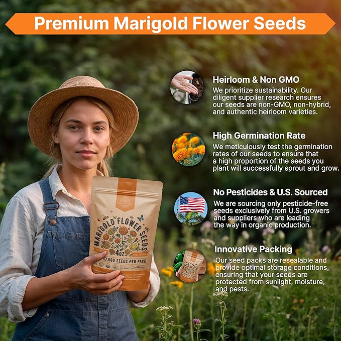 Marigold Seeds Pack 4 oz - Over 37,000 Non-GMO Heirloom Marigold Seeds for Planting Indoor &