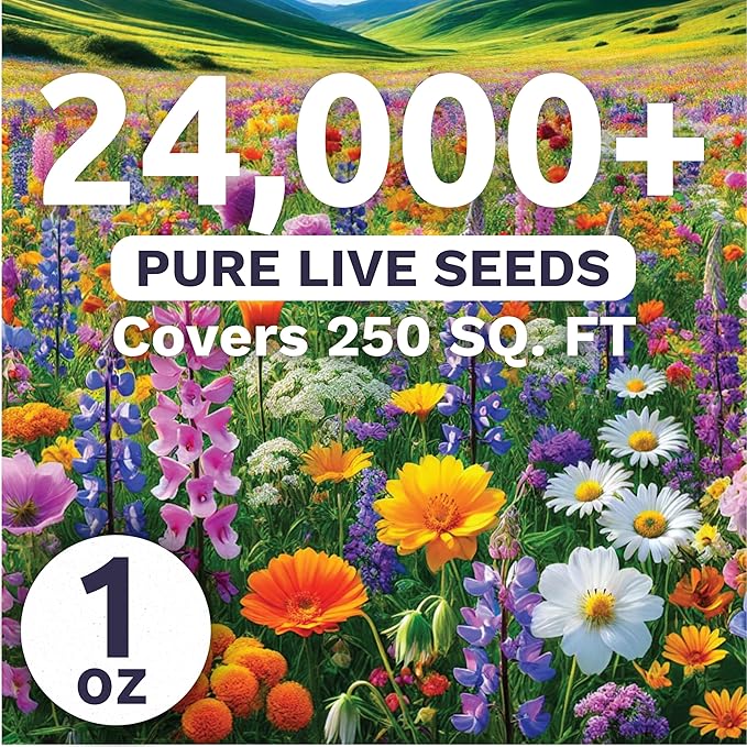 Pacific Northwest Regional Mix - Large 1 Ounce Packet - 24,000 Flower Seeds for Planting