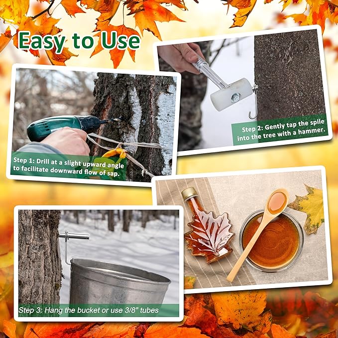 Stainless Steel Maple Syrup Taps Kit, Spiles for Tapping Trees, 3 Spiles and Hooks With 1 Spile