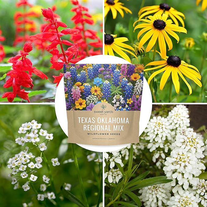 Texas Oklahoma Wildflower Seeds Mixture - Bulk 1 Ounce Packet - Over 15,000 Native Seeds - Open