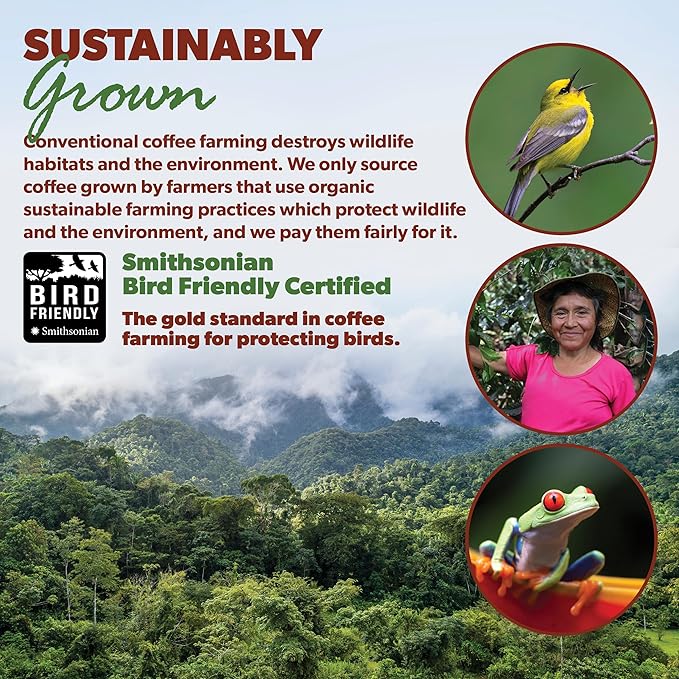 Low Acid Organic Coffee ??Whole Bean, Mold-Free & Stomach Friendly by Java Planet, Colombian Single