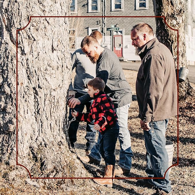 Frost Ridge Maple Farm, Organic Maple Syrup, Grade A, Quart (32 FL OZ), Medium Amber Rich