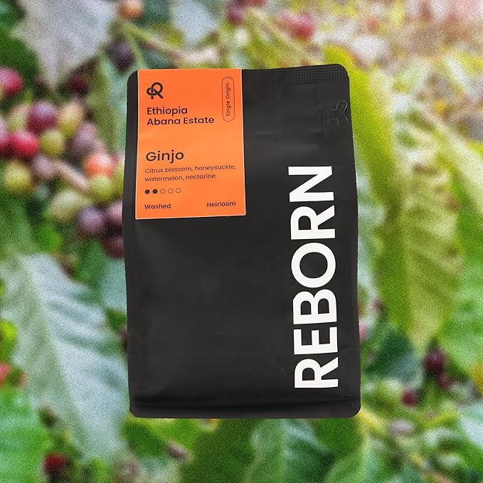 Reborn Coffee Specialty Whole Bean Coffee, Light-Medium Roast, 12 Ounce, Ethiopia Abana Estate
