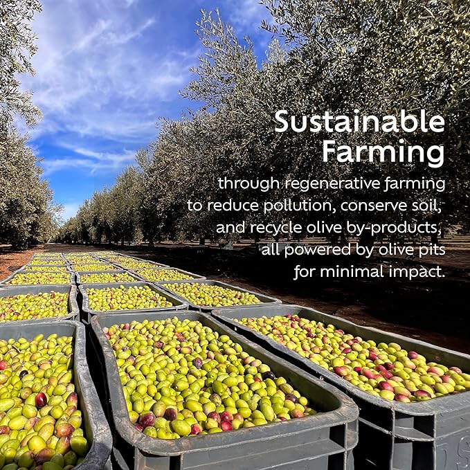 NOOR FÈS USDA Organic | 20+ Awards 584 mg/kg Polyphenol Rich | Premium Extra Virgin Olive Oil |