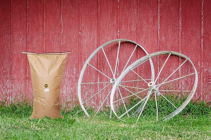 Amish Country Popcorn | 50 lbs Bag | Medium White Popcorn Kernels | Old Fashioned, Non-GMO and