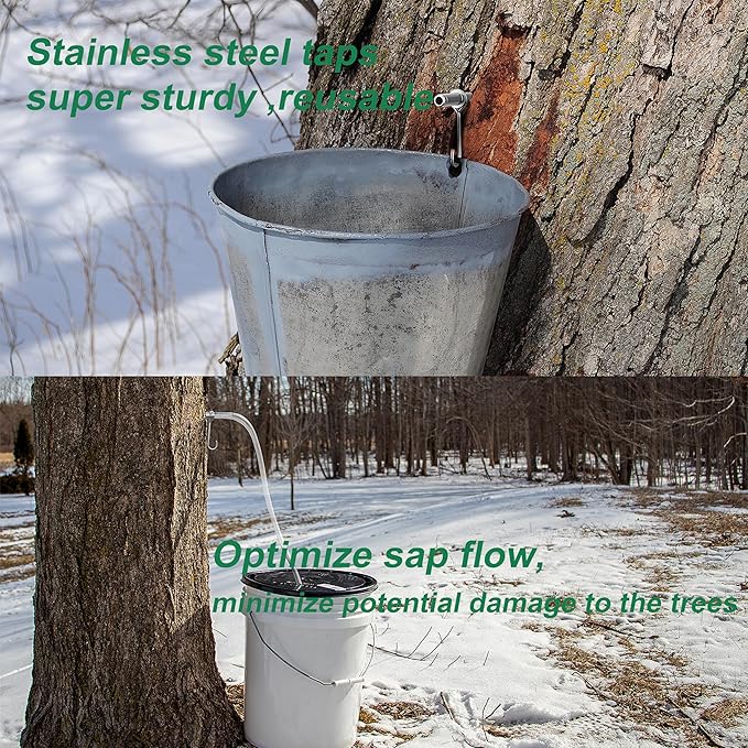 Stainless Steel Maple Syrup Taps Kit, Spiles for Tapping Trees, 3 Spiles and Hooks With 1 Spile